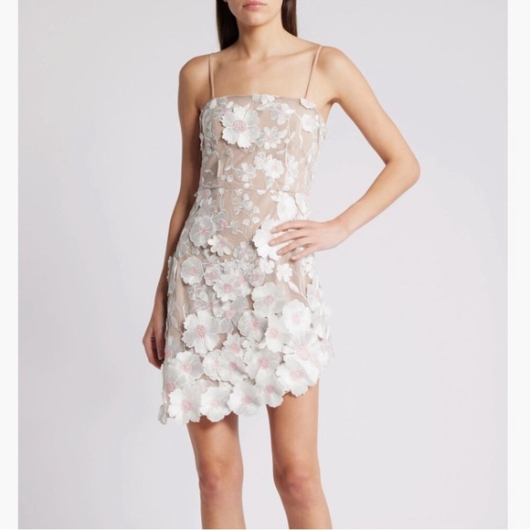Elliatt Dresses & Skirts - Elliatt White and Nude Floral Appliqué Mini Dress